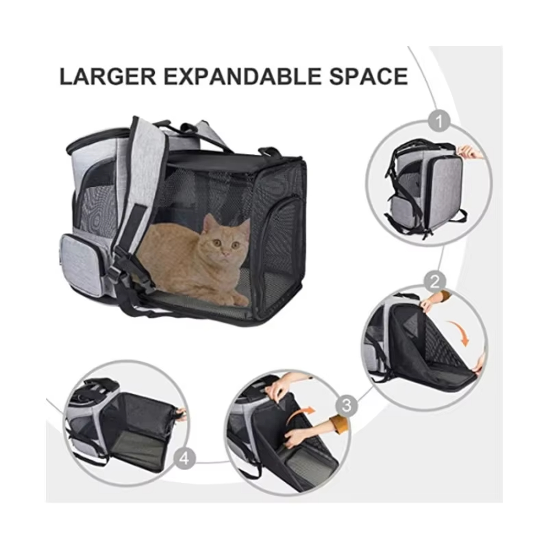 Cat Bag Outdoor Portable Cat B – Foldable Backpack Small Bewertung und Preis
